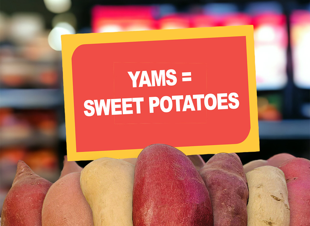 Yams = Sweet Potatoes