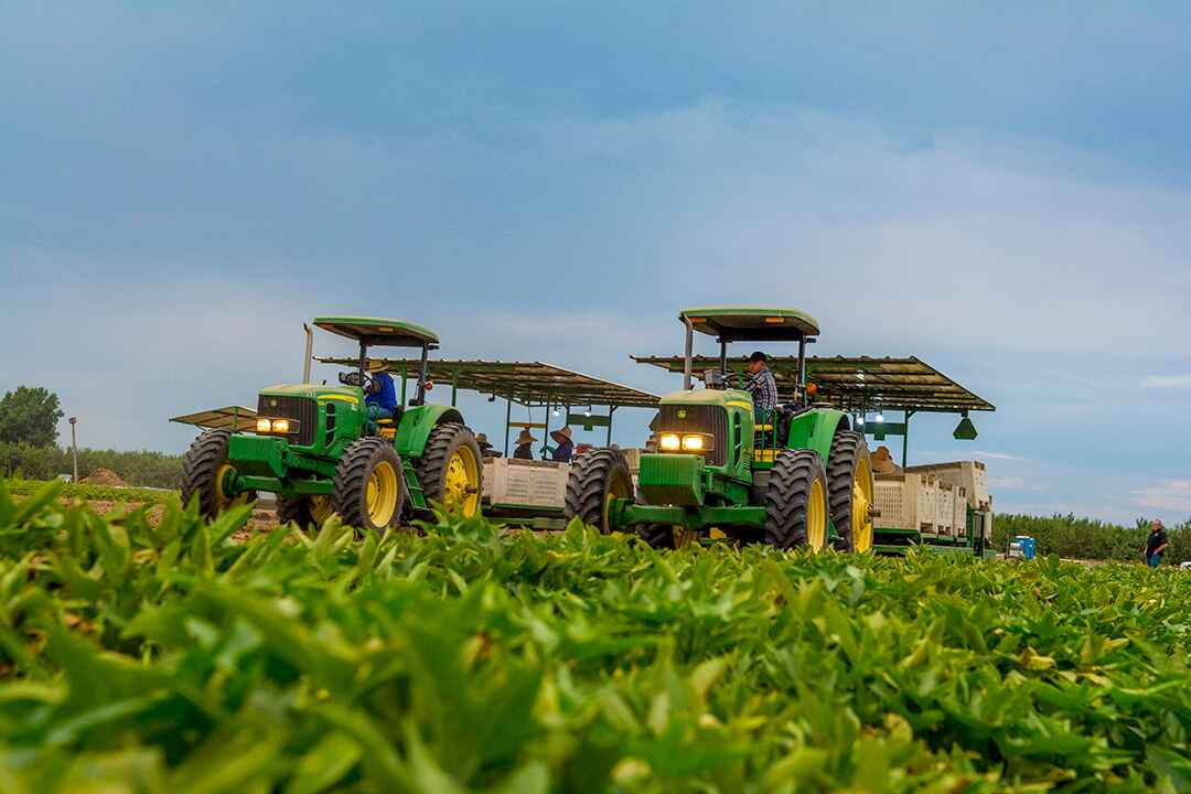 AVT Field Tractors